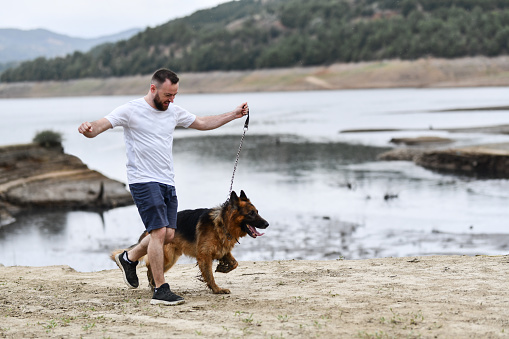 Male Exercising And Taking His German Shepherd Dog For A Run