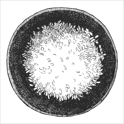 Hand-drawn illustration of Rice Bowl . Vector. Ink drawing.