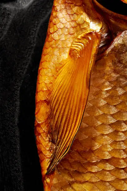 Photo of Closeup fragment of golden scales of smoked fish with pectoral fin