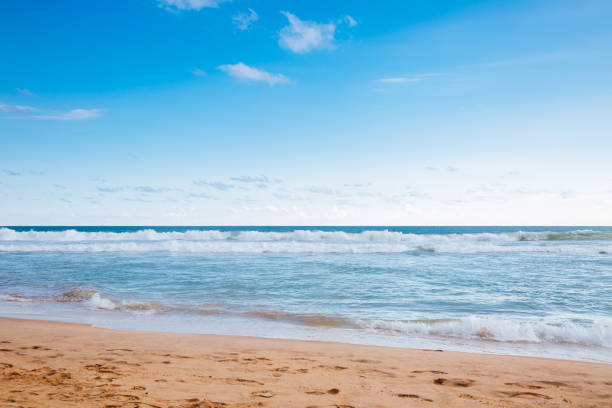istock An empty tropical with blue sky and white clouds, Hikkaduwa. 1703861083