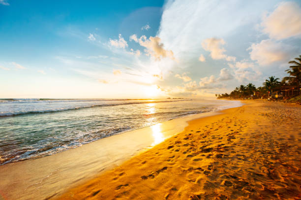 istock An empty tropical beach at sunset with waves and palm trees, Hikkaduwa. 1703861086