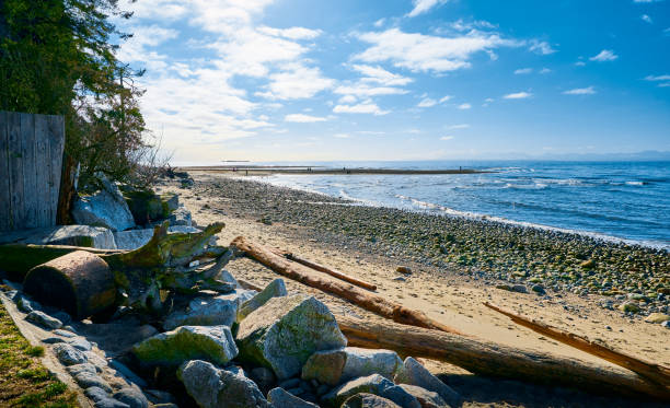 istock Davis Bay Beach. Sechelt, Sunshine Coast, British Columbia, Canada 1703863298