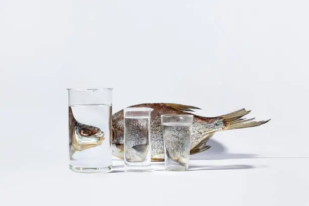 Photo of Dried fish distortedly reflecting in glasses with transparent liquid on white background