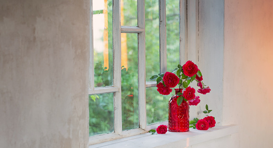 red roses in red glass vase on windowsill