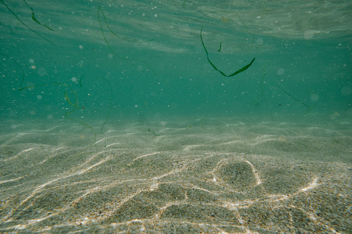 Rippling sunlight on the seabed in the shallow clear blue sea at Pedn Vounder Beach, Cornwall on a sunny June day.