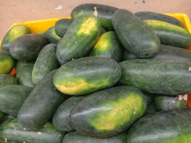 istock pile of oval shaped green watermelons 1703916732