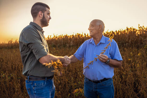 istock Two farmers in soy field making agreement with handshake before harvest at sunset. 1703963230