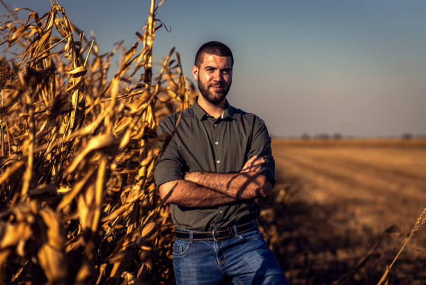 istock Young farmer standing in a corn field examining crop during sunset before harvest. 1703963787