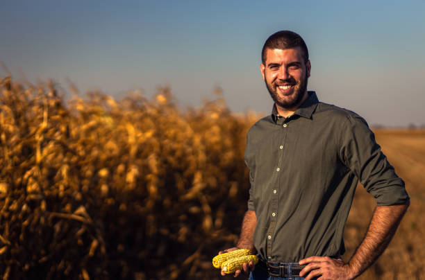 istock Young farmer standing in a corn field examining crop during sunset before harvest. 1703964096