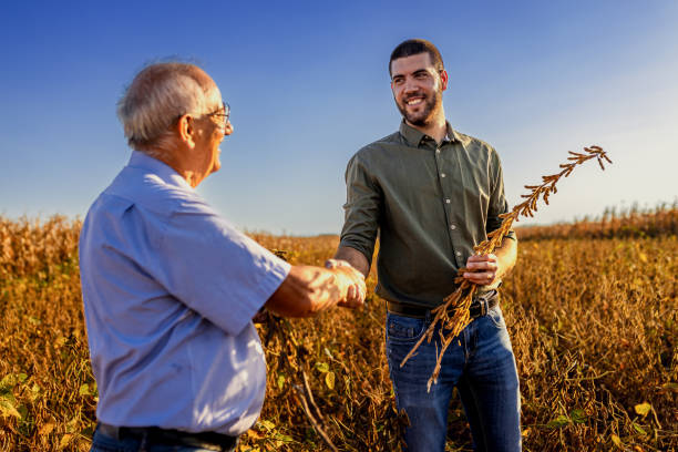 istock Two farmers in soy field making agreement with handshake before harvest at sunset. 1703964930