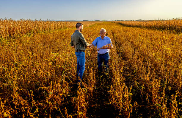 istock Two farmers in soy field making agreement with handshake before harvest at sunset. 1703964957