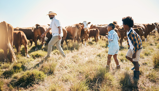 Farm, cows and father with children in countryside for ecology, adventure and agriculture. Family, sustainable farming and happy dad with kids for bonding, relax and learning with animals in field