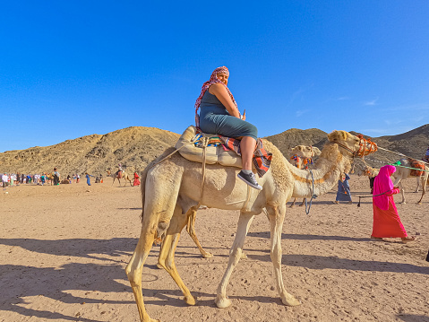 Bedouin Village, Egypt - April 21, 2023 : Young woman riding a camel in the Sahara desert In Egypt.