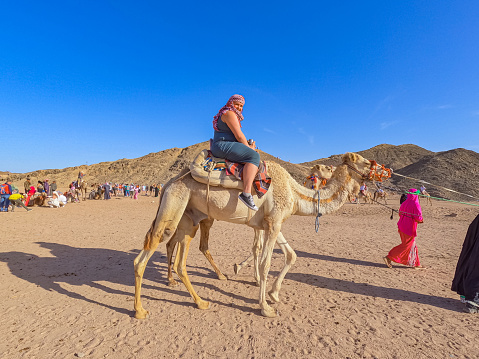 Bedouin Village, Egypt - April 21, 2023 : Young woman riding a camel in the Sahara desert In Egypt.