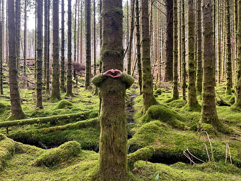 A wide shot of a dense forest near Oban in Scotland. The forest floor is covered in a green carpet of moss, the surface uneven with stones and tree trunks beneath. An unrecognisable person is standing behind the central tree with their arms wrapped around the trunk, their hands making a heart shape.