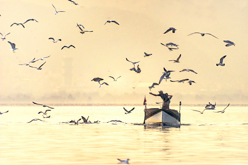 View of a fisherman feeding seagulls on the way back to shore in Izmir Gulf.
The 27th of October, 2023