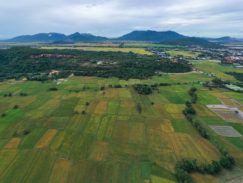Aerial photo of Ta Pa rice fields, An Giang province, Viet Nam
