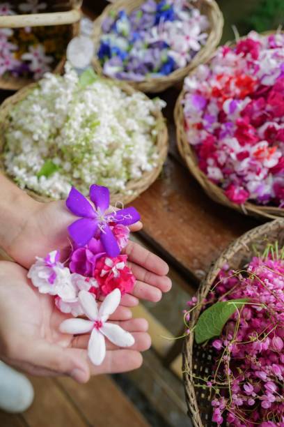 istock colorful flowers in a basket 1704042481