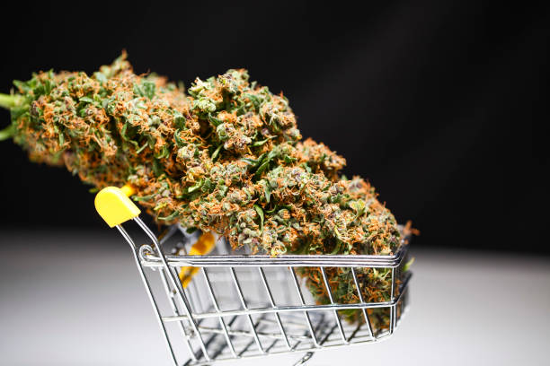 Cannabis buds in a shopping trolley on a black background stock photo