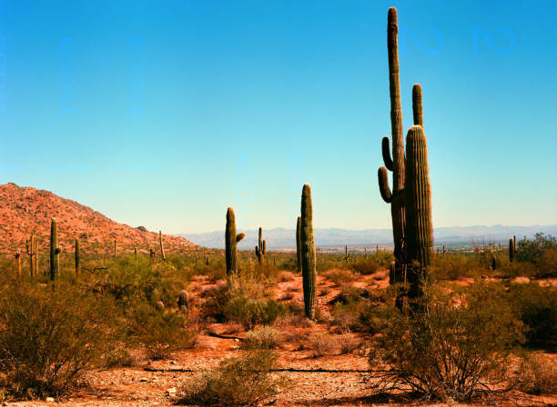 The entrance to the Valley of Fire State Park at dawn.