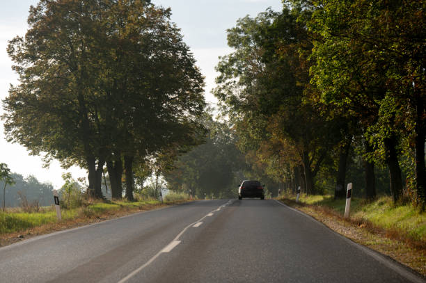 istock Road in Europe, Hungary 1704153626