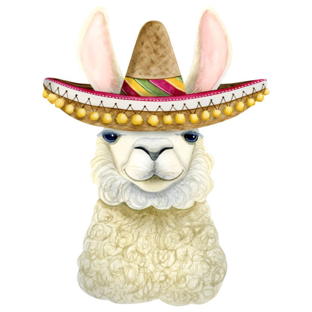 istock White llama with traditional Mexican sombrero hat watercolor illustration isolated on white background for kids birthday party invitations, greeting cards and posters 1704162856