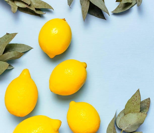 istock Ripe juicy lemons, eucalyptus twigs on pastel blue background. Lemon fruit, citrus minimal concept, vitamin C. Creative summer food minimalistic background. Flat lay, top view, copy space. 1704173326