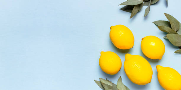 istock Ripe juicy lemons, eucalyptus twigs on pastel blue background. Lemon fruit, citrus minimal concept, vitamin C. Creative summer food minimalistic background. Flat lay, top view, copy space. 1704173330