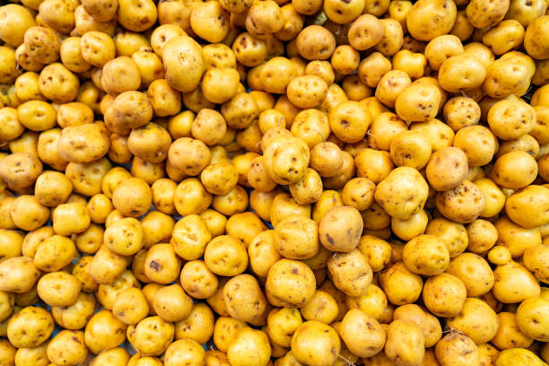 pila di papa criolla o patata gialla in un supermercato - raw potato farmers market market stall vegetable foto e immagini stock