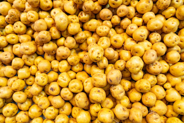 Stack of papa criolla or yellow potato in the produce aisle at a supermarket