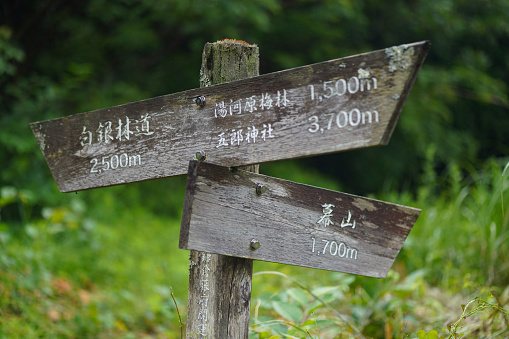 Signposts (Shirogane Forest Road, Yugawara Plum Grove, Goro Shrine, Makuyama)