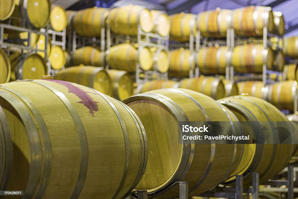 Dégustation de vins - Photo de Adulte libre de droits