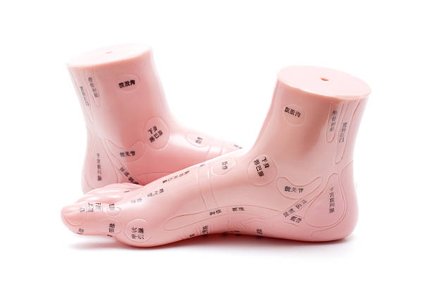 massaggio ai piedi modello - acupuncture shiatsu reflexology meridians foto e immagini stock
