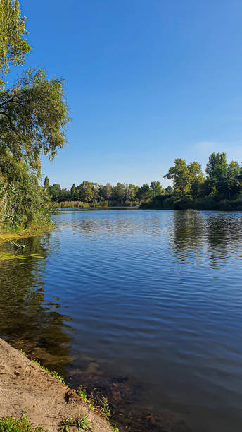 istock The river bank is surrounded by trees. Summer nature and relaxation. 1704293507
