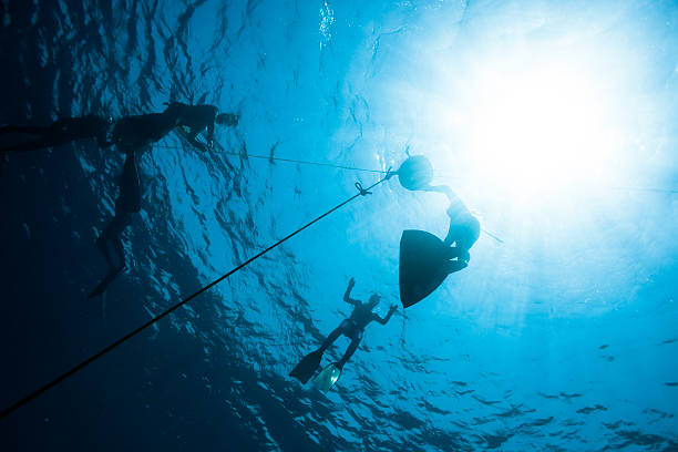 Freedivers preparing to descent More freediving shots: dahab photos stock pictures, royalty-free photos & images