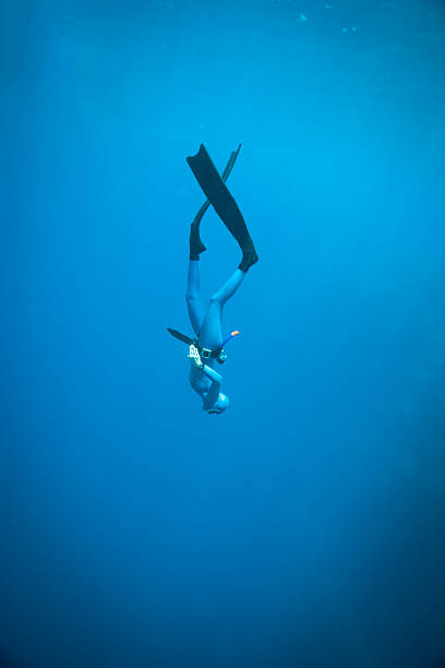 donna freediving nell'oceano - competitive sport competition swimming wetsuit foto e immagini stock