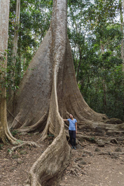 istock Woman Looking at an Impressive Giant Tree 1704304102