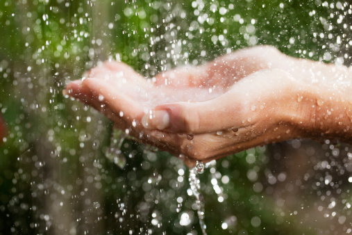 Outstretched hands on the tropical rain, water droplets falling into the hands.  