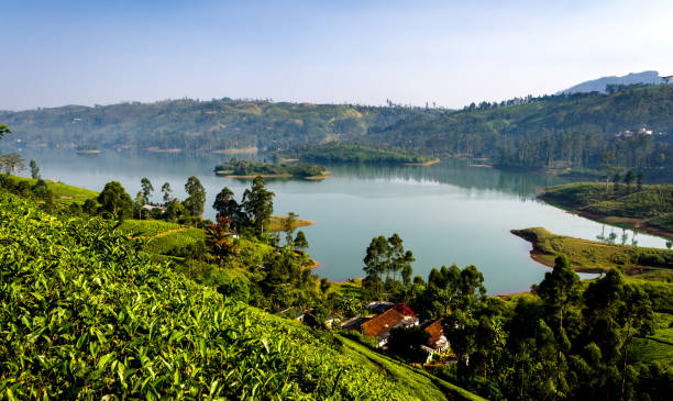 istock Castlereigh reservoir, Hatton, Sri Lanka 1704332628