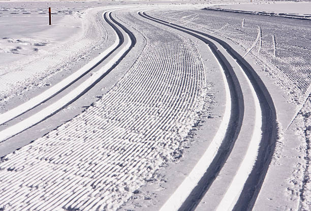 istock Cross Country Ski Track 170435090