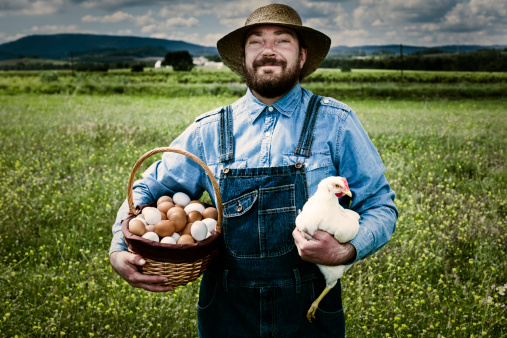 Farmer holding basket full of organic eggs in field with free range hen