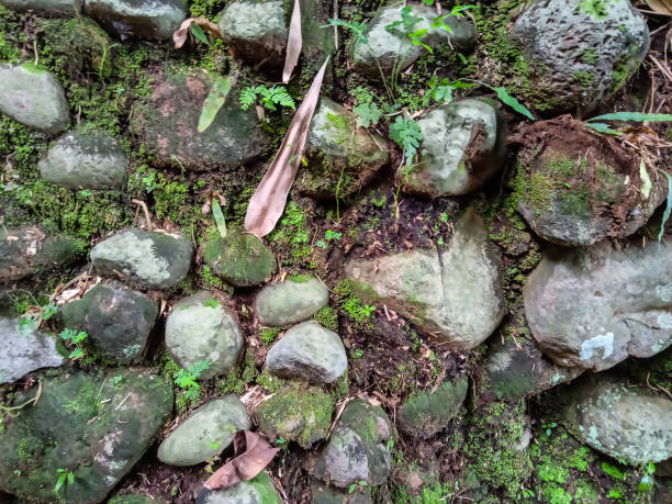istock irregular arrangement of rocks on the ground 1704367641