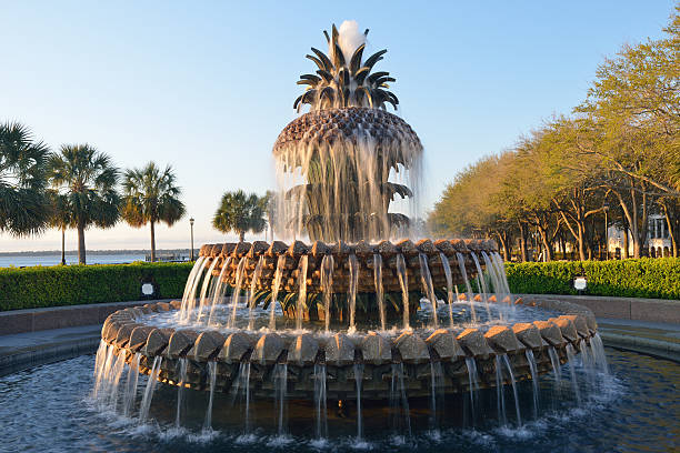 istock Pineapple Fountain in Charleston 170437579
