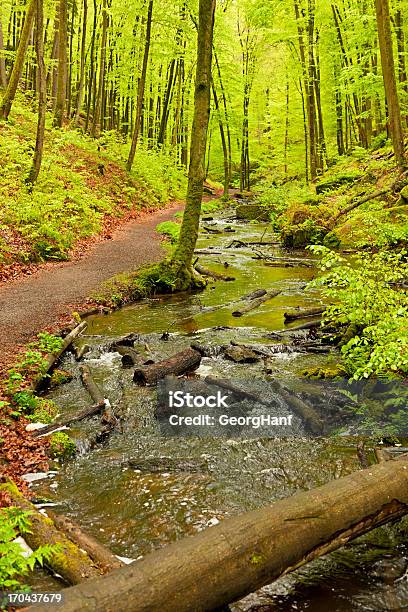 Foto de Parte De Karlsbachtal e mais fotos de stock de Ajardinado - Ajardinado, Alemanha, Arbusto