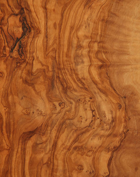 wood grain - wood tree textured wood grain stock-fotos und bilder