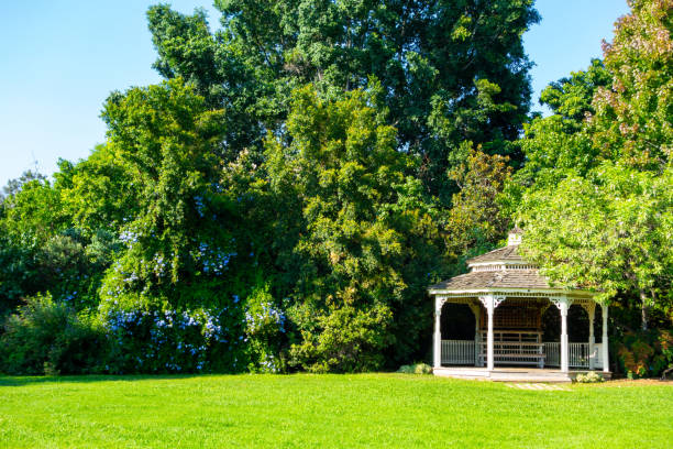 Gazebo in garden