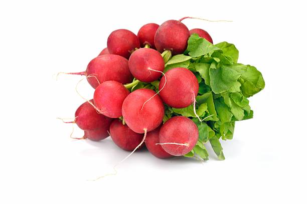 radishes - radish isolated bunch vegetable ストックフォトと画像