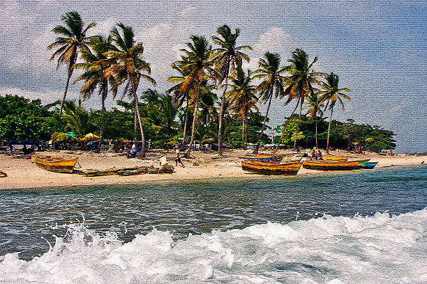 ocean coastline  palm work and tree in  republica dominicana