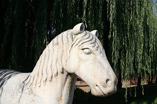 white chess horse on white background