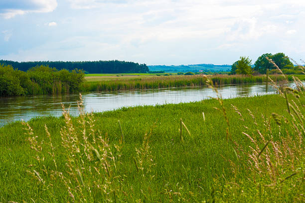 Rivière Nida Valley - Photo